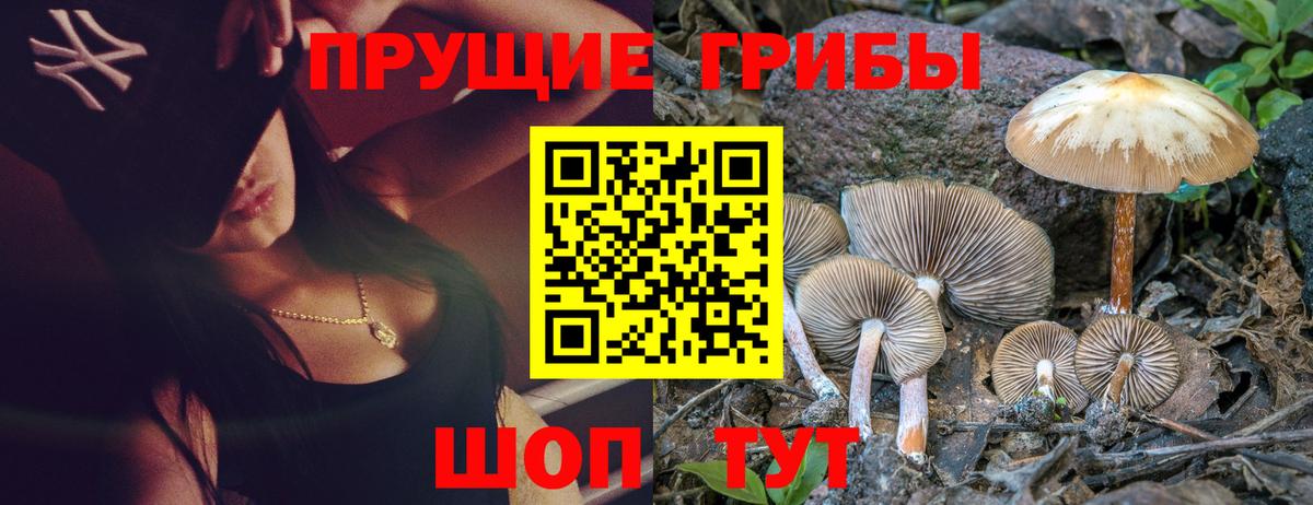 Вышний Волочёк  Галлюциногенные грибы ЛСД  Вход с VPN 